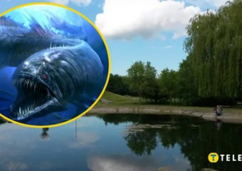 На Київщині під час розчищення озера водолаза атакував невідомий монстр: чоловік опинився у лікарні
