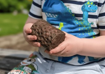 Малюк випадково знайшов скам’янілість віком 300 млн років