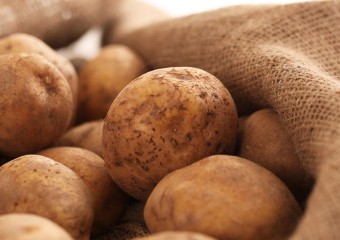 Як індичка: у Новій Зеландії виростили гігантську картоплину (фото)