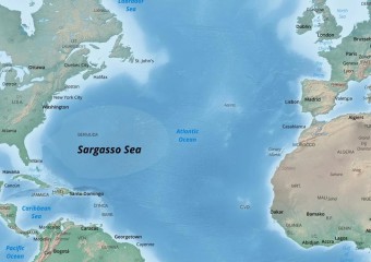 Єдине на Землі море без берегів і островів