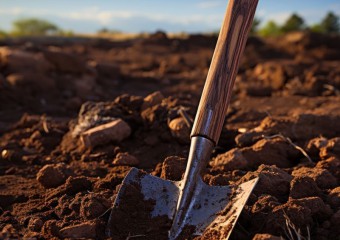 Жінка прийшла на побачення, а опинилася в могилі: що сталося