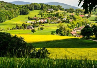 У Німеччині знайшли родину, яка живе в одному селі вже 3 тисячі років