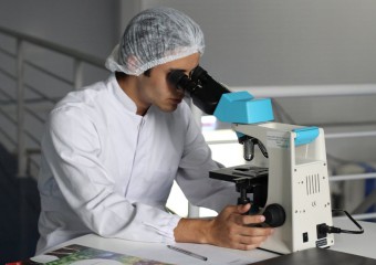 Вперше заморожену тканину людського мозку повернули до життя