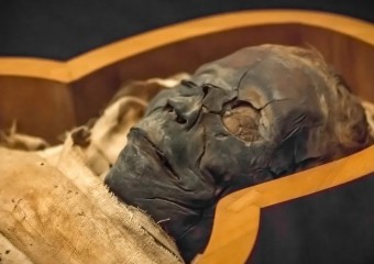 Учені завдяки мумії з’ясували нові факти про чуму