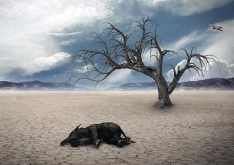 Чи відбудеться на Землі ще одне масове вимирання