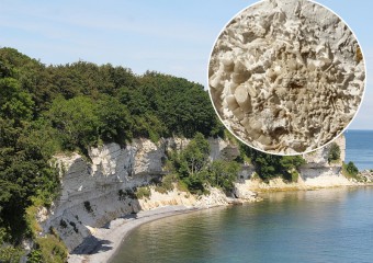 Блювотна маса риби здивувала вчених