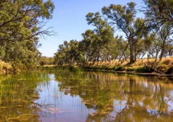 Найдавніша річка планети тече сотні мільйонів років: де вона знаходиться