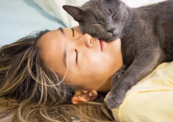 Як кішки розуміють, що господар скоро прийде додому