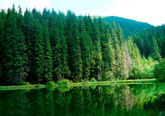 У Карпатах є загадкове озеро, про яке не знають туристи (фото)