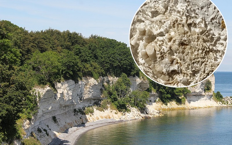 Блювотна маса риби здивувала вчених