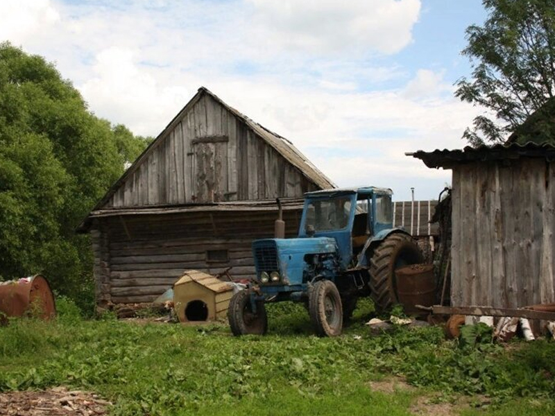 Проект жизнь в деревне